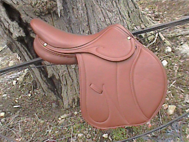 pegasus2007ccjci1.jpeg