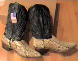 FB-buckles/fbboots2006/NaturalPythonblacktop.jpg
