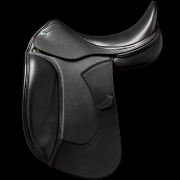 PrestigeSaddles2005/galileo.jpg