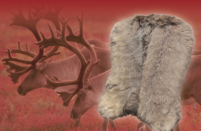 kieffer/KiefferReindeerHairHalfPad.jpg