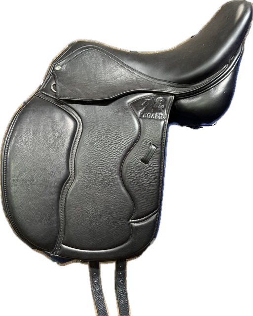 Pegasus Athena Demo Dressage Package Size & Fit Guide 