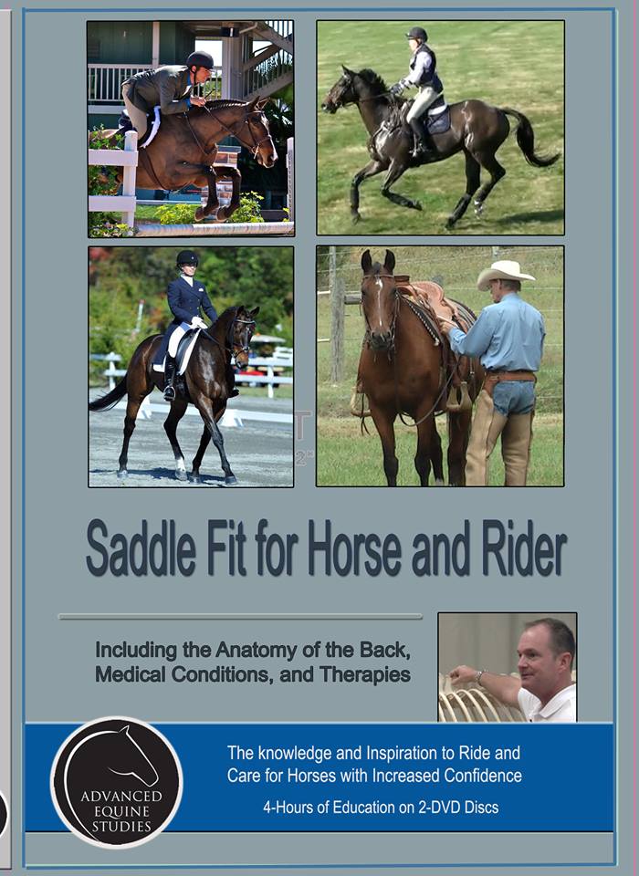 Saddle Fit for Horse and Rider Video