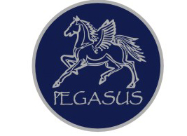 PegasusPoloMain2009/PEGASUSLOGO.JPG